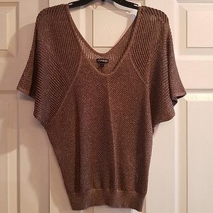 Express shimmer sweater